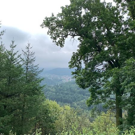Camping De La Sarre アブレッシュフィラー エクステリア 写真